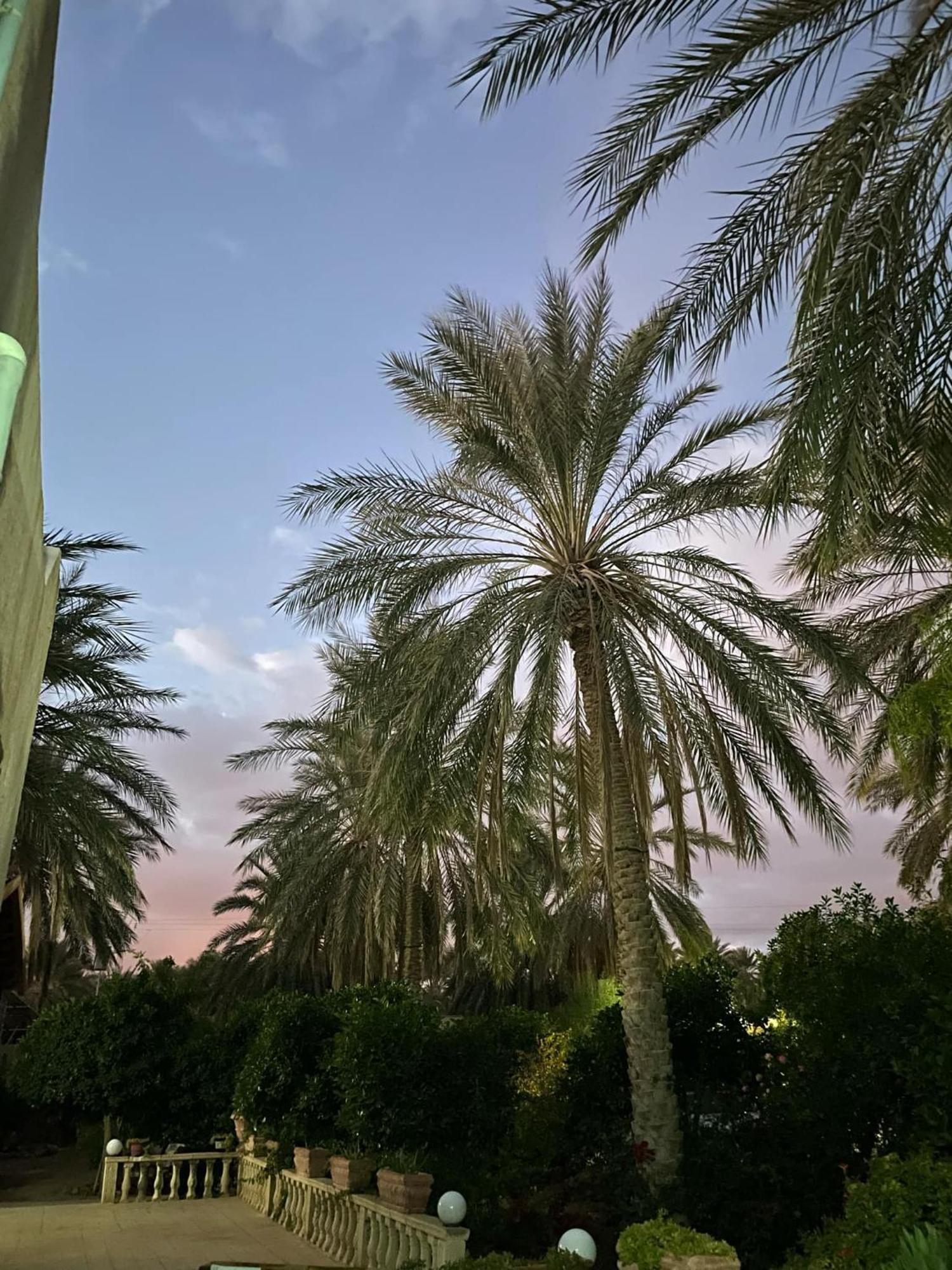 Hotel Dar Barka Kebili Exterior foto