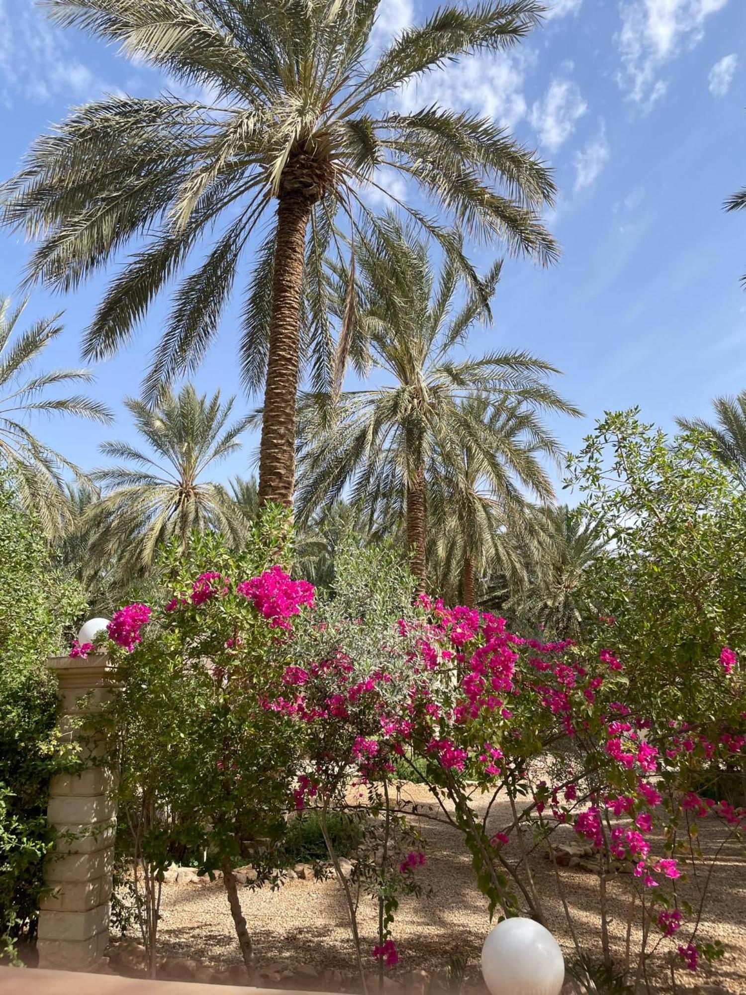Hotel Dar Barka Kebili Exterior foto